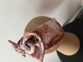 IMG_5812.jpeg