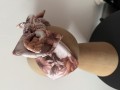 IMG_5810.jpeg