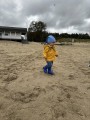 IMG_8379.jpeg