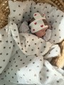 IMG_2232.jpeg