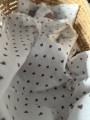 IMG_2221.jpeg