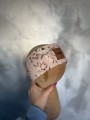 IMG_7197.jpeg