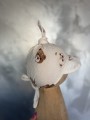 IMG_7208.jpeg