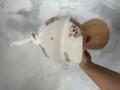 IMG_7383.jpeg