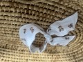 IMG_0900.jpeg