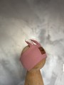 IMG_7824.jpeg
