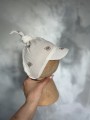 IMG_0180.jpeg