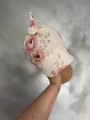 IMG_0508.jpeg