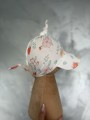 IMG_0448.jpeg