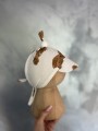 IMG_9322.jpeg