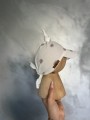 IMG_0831.jpeg
