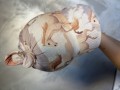 IMG_1578.jpeg