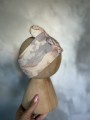 IMG_1629.jpeg