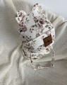 IMG_7587.jpeg