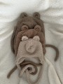 IMG_7632.jpeg