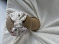 IMG_7563.jpeg