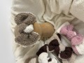 IMG_8883.jpeg
