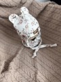 IMG_2423.jpeg