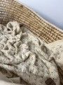 IMG_7586.jpeg