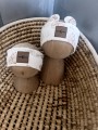 IMG_0889.jpeg