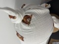 IMG_1868.jpeg